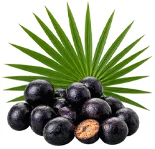 Saw palmetto extract in {{OFFER_NAME}}